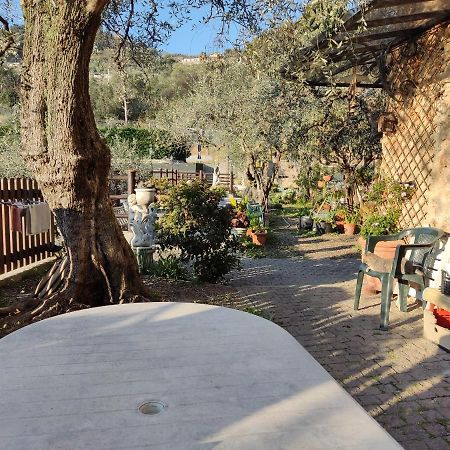 Seglia San BernardoCasa Elvira公寓 外观 照片