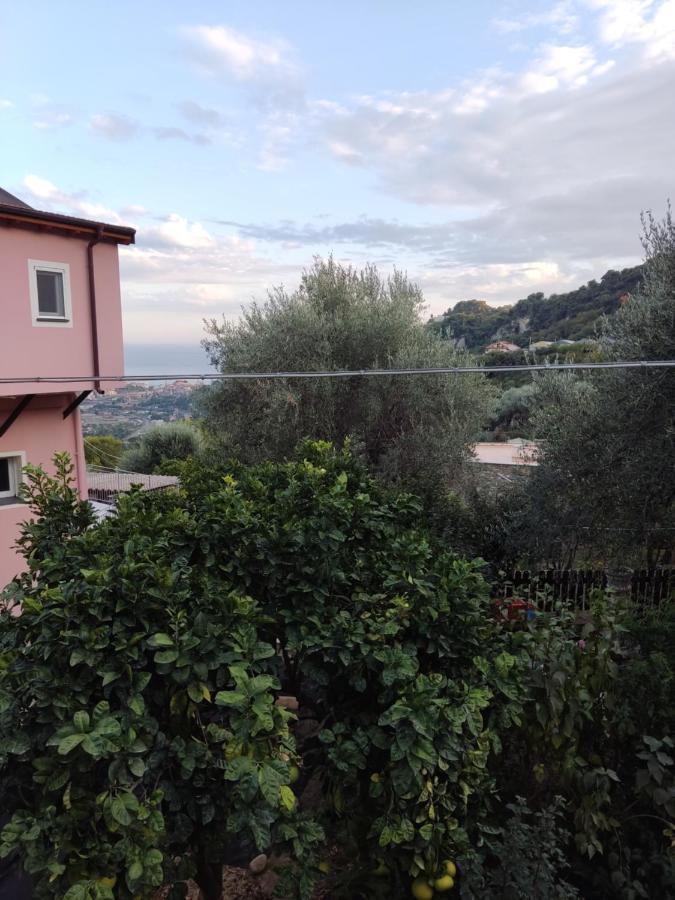 Seglia San BernardoCasa Elvira公寓 外观 照片