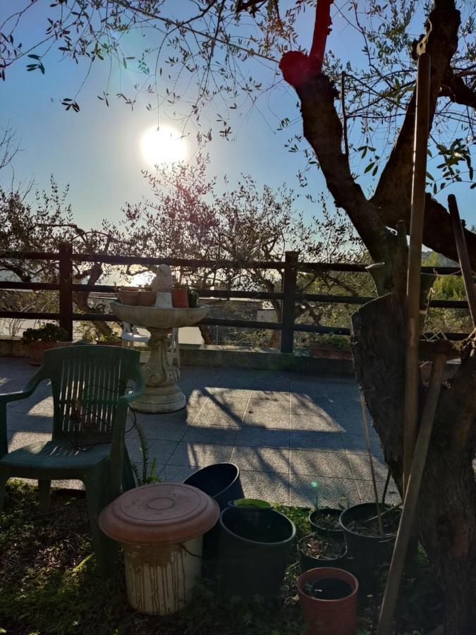 Seglia San BernardoCasa Elvira公寓 外观 照片