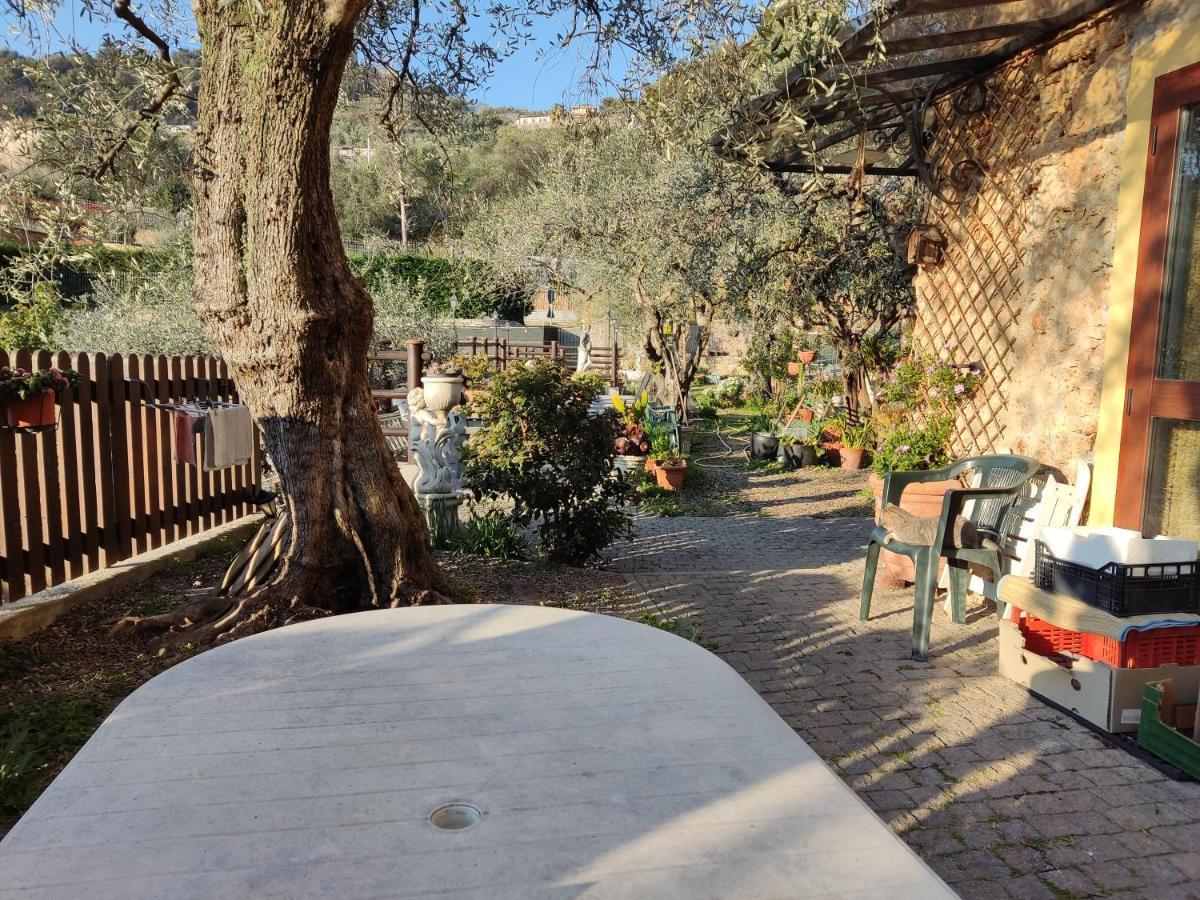 Seglia San BernardoCasa Elvira公寓 外观 照片